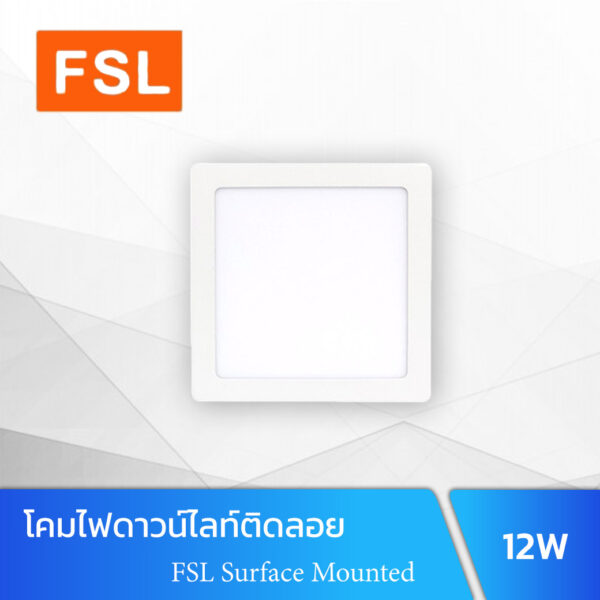 FSL Surface Mounted 12W